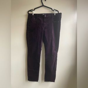 Old Navy Velvet Pants in Plum Color